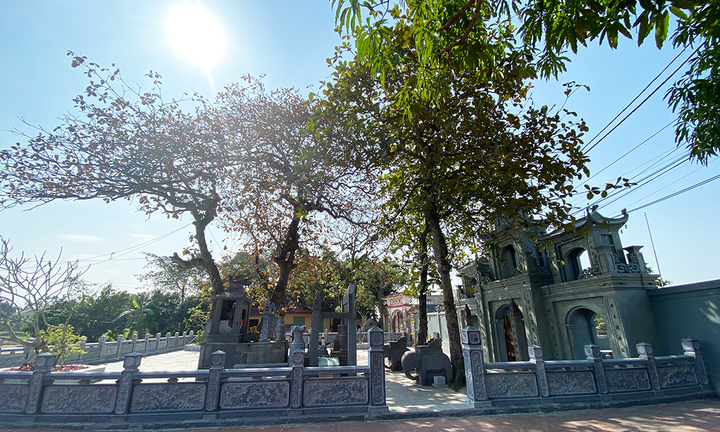 Độc đáo ngôi đền lộ thiên, làm hoàn toàn bằng đá xanh ở Hải Phòng