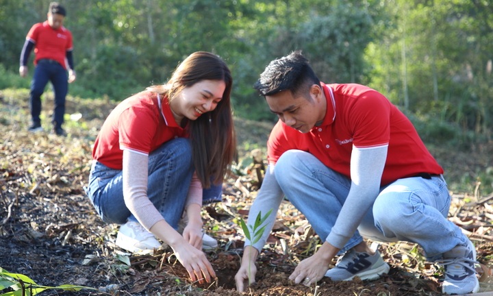 SeABank tiếp tục phủ xanh 3ha rừng phòng hộ tại Thanh Hóa