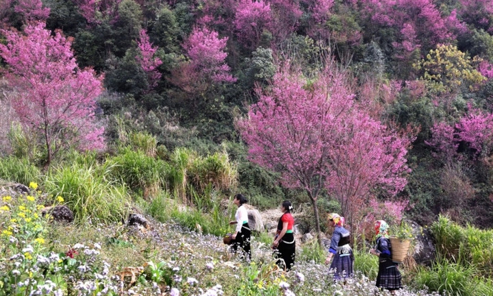 Những địa điểm du lịch hấp dẫn nhất miền Bắc dịp Tết Dương lịch 2024