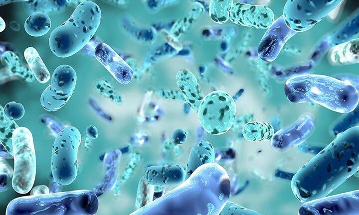 Độc lạ Sunlight Lau Sàn mới: Đưa cả lợi khuẩn probiotics vào để ngăn côn trùng?