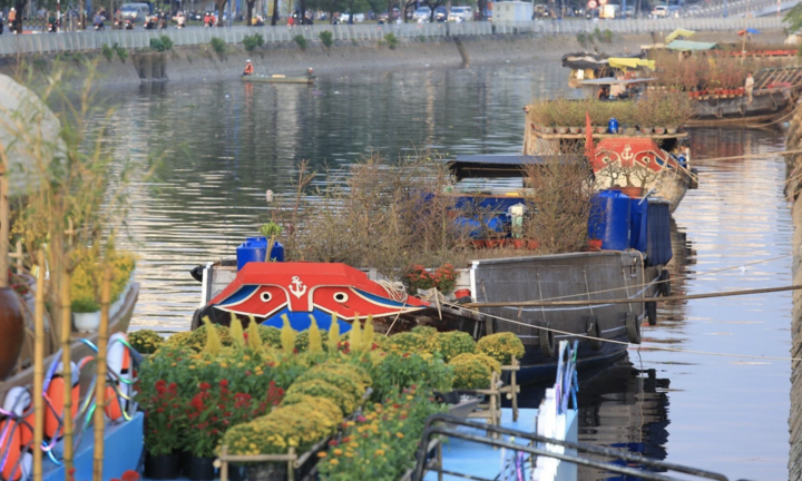 TP.HCM sẽ mua hoa Tết bị ế của tiểu thương để làm ‘đường hoa nghĩa tình’