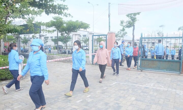 Nghỉ ốm 1 ngày có được công ty trả lương?