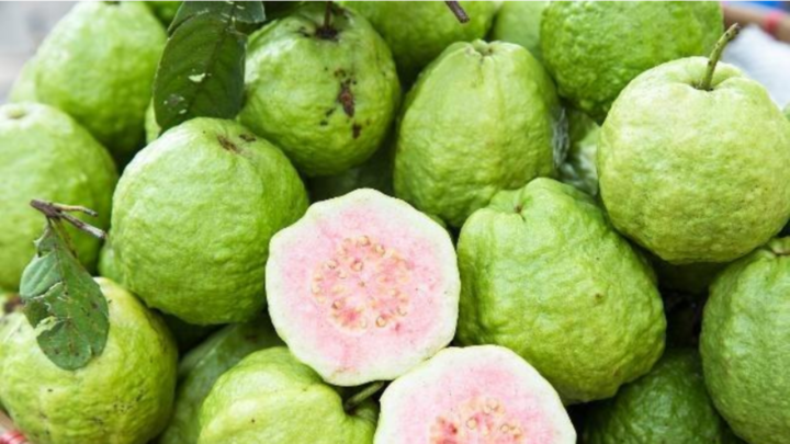 Loại quả là kho vitamin C, chăm ăn khỏi lo gặp bác sĩ