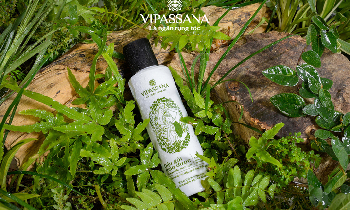 Dầu gội thảo dược Vipassana - Kích thích mọc tóc hiệu quả