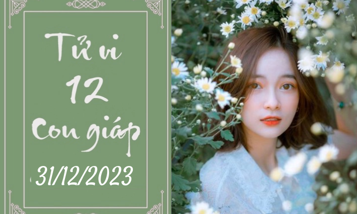 Tử vi vui 12 con giáp hôm nay ngày 31/12/2023: Hợi cẩn thận, Mão chu đáo