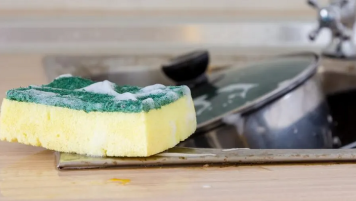 Tại sao phải làm sạch miếng bọt biển nhà bếp hàng ngày?