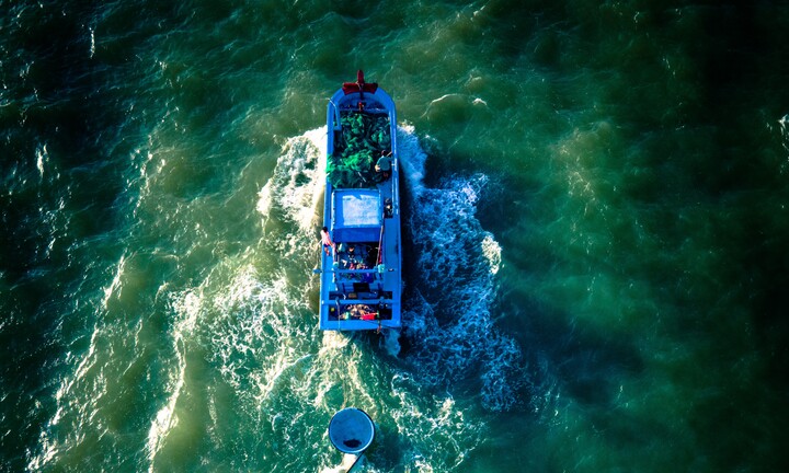 Bình Định: Tìm kiếm 3 cha con cùng tàu cá mất liên lạc nhiều ngày