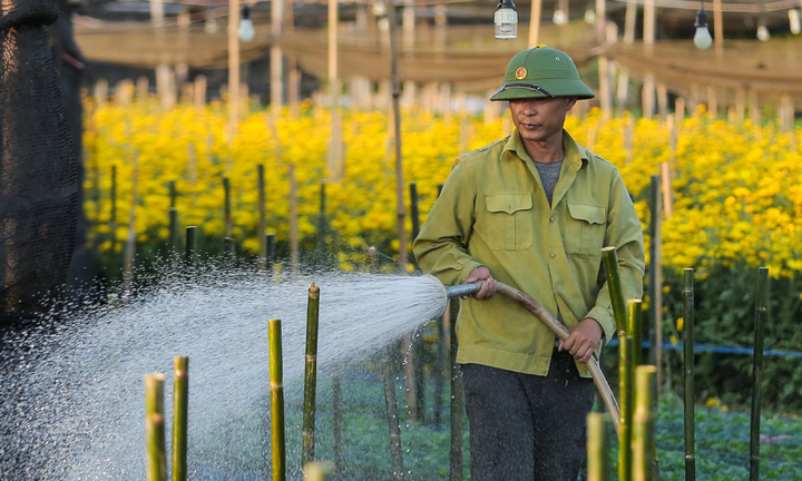 Dự báo thời tiết ngày 9/1: Bắc Bộ có nơi nắng trên 28 độ C trước khi đón gió mùa