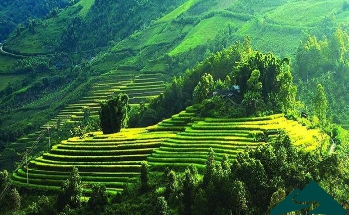 Nơi nào ở Việt Nam được vinh danh 'điểm đến thiên nhiên hàng đầu thế giới'?