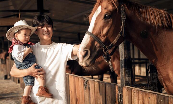 Thể thao cưỡi ngựa - bộ môn rèn luyện thể chất, chữa lành tinh thần