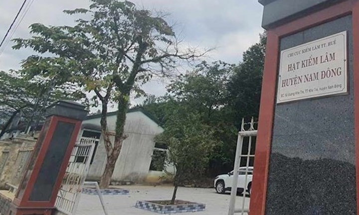 Bắt cán bộ kiểm lâm ở Huế liên quan vụ vận chuyển lâm sản trái phép