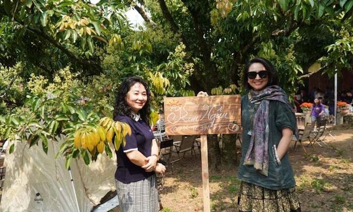 Vùng vải nghìn tỷ làm du lịch