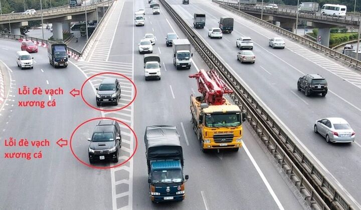 Khi nào được đè vạch xương cá?