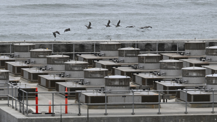 Mỹ chi hơn 1 tỷ USD mua uranium của Nga