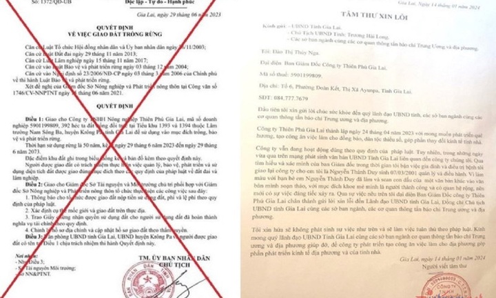 Lộ diện người giả mạo Chủ tịch tỉnh Gia Lai giao 392ha đất rừng cho doanh nghiệp