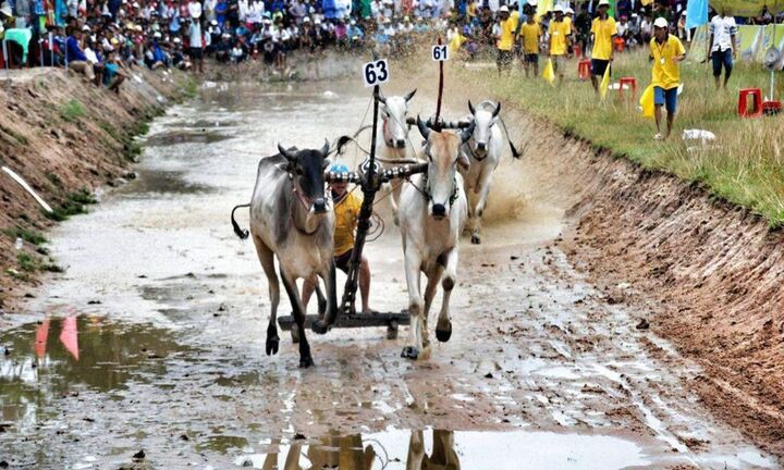 Những lễ hội truyền thống An Giang đặc sắc