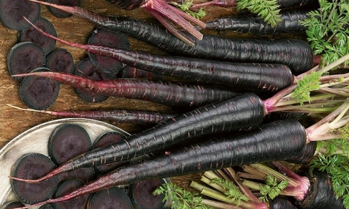 Cà rốt đen mang lại nhiều lợi ích sức khỏe nhưng người này cần chú ý khi ăn