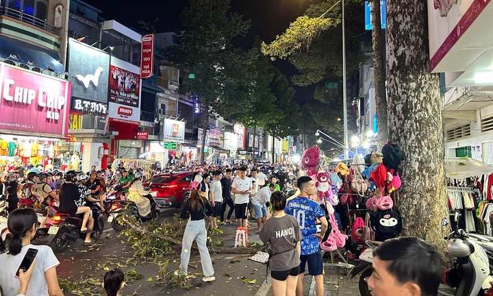 Người đàn ông bị nhánh cây rơi trúng đầu tử vong