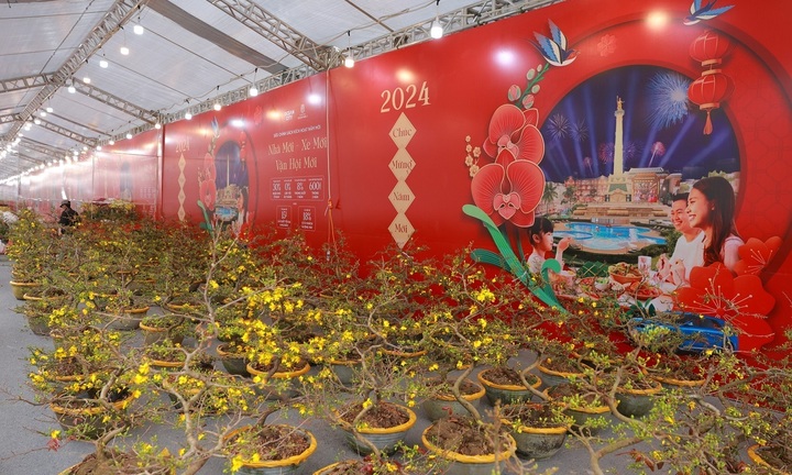 Khai màn 'Chợ Tết Phố Hội' phía Đông Thủ đô 