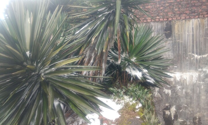 Nhiệt độ tăng lên 0 độ C, băng giá trên đỉnh Mẫu Sơn bắt đầu tan