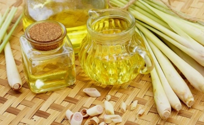 Sả chưng có chữa được tiểu đường?