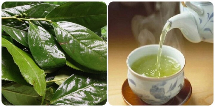 Uống chè xanh mỗi ngày có tốt cho sức khoẻ?