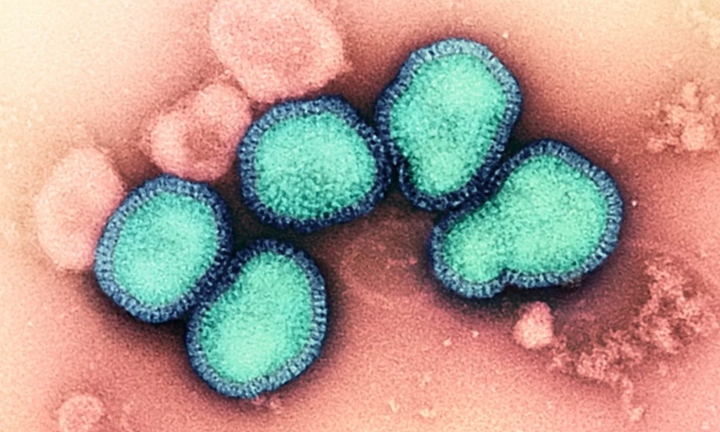 Trung Quốc xuất hiện ca tử vong do nhiễm hỗn hợp virus cúm A/H3N2 và H10N5