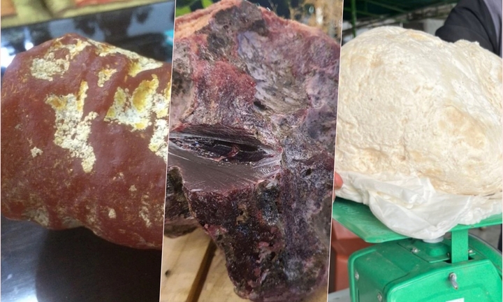 Những lần ngư dân Việt vô tình bắt được 'vàng nổi' trị giá tiền tỷ 