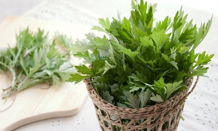 Loại rau mọc dại là dược liệu 'vàng' cho phụ nữ 