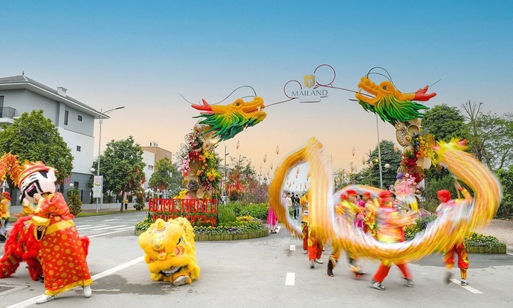 Trải nghiệm không khí Tết tại đường hoa Home Hanoi Xuan 2024