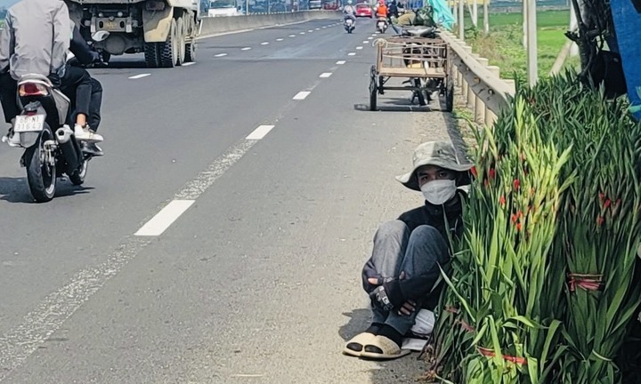 Lay ơn rớt giá, nông dân Phú Yên phập phồng lo hoa ế, đội nắng 'ngóng’ người mua