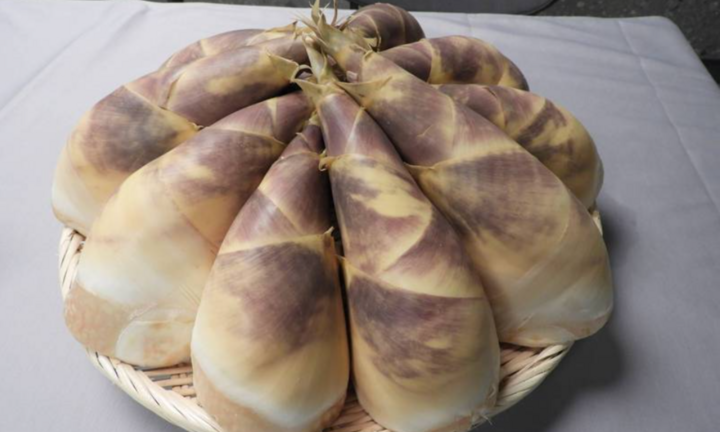 Cách chế biến măng ngày Tết giúp giảm bớt độc tố