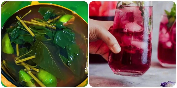 Uống nước lá tía tô có tác dụng gì với sức khoẻ?