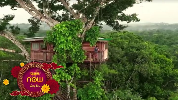 Lớp học trên cây đặc biệt ở rừng Amazon tại Peru