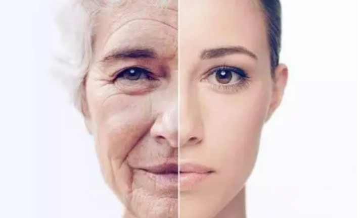 3 loại thực phẩm giúp bạn đảo ngược lão hóa, giữ mãi nét thanh xuân