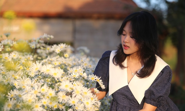 Thiếu nữ duyên dáng bên cúc họa mi giữa lòng phố núi