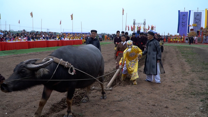 'Vua đi cày' trong Lễ hội Tịch Điền đầu năm ở Hà Nam