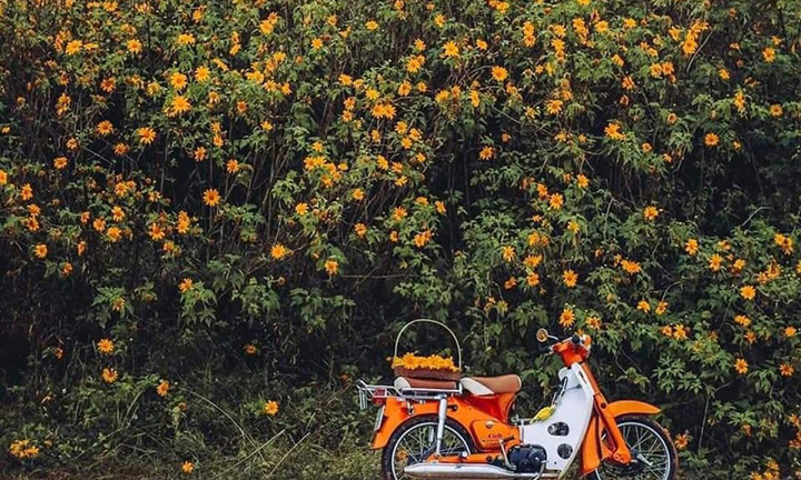 Vi vu suối Cái Ba Vì Hà Nội