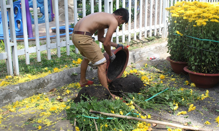 Người kinh doanh tồi mới phải đập bỏ hoa trên phố