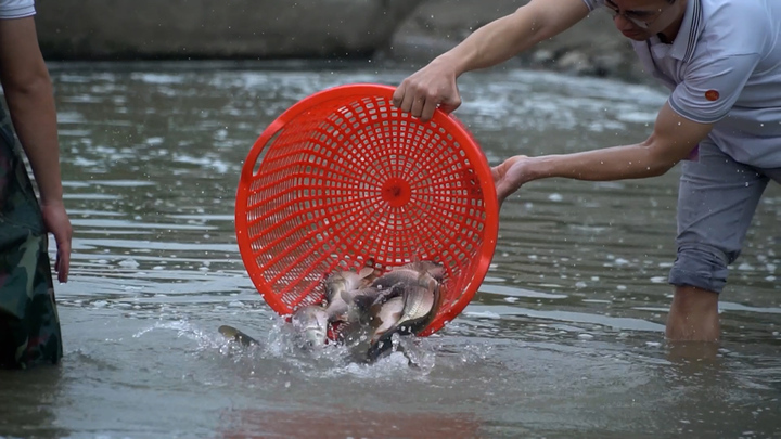 Lễ phóng sinh đặc biệt ở Bắc Giang