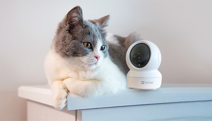 Dùng máy theo dõi thú cưng, chồng phát hiện vợ ngoại tình 