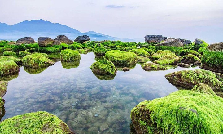 Đà Nẵng đầu tư công viên sinh thái, quảng trường ghềnh Nam Ô