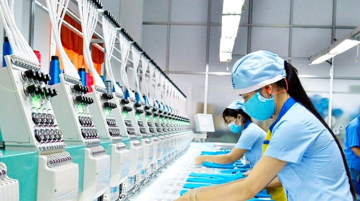 Doanh nghiệp may mặc gần '50 tuổi' ở TP.HCM phải bán đất, bán xe