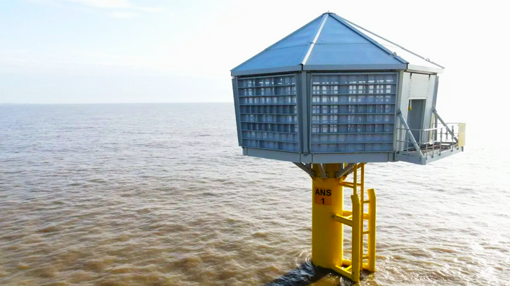 Bồi thường 'tổ chim nhân tạo' khi xây dựng trang trại năng lượng gió