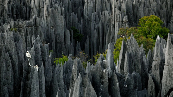 Khám phá khu rừng đá dựng đứng, sắc như lưỡi dao