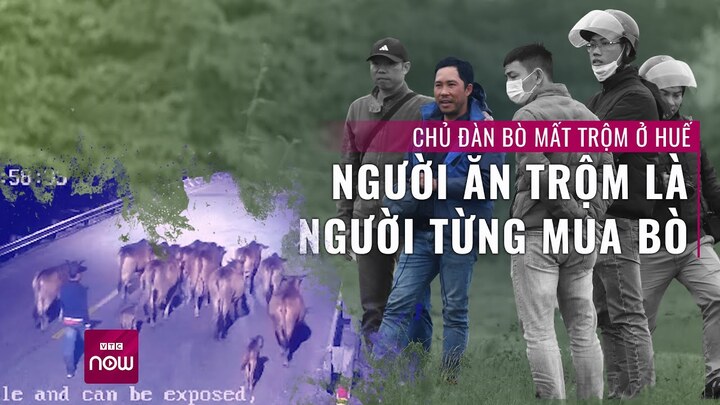 Người từng mua bò lại trộm cả đàn bò