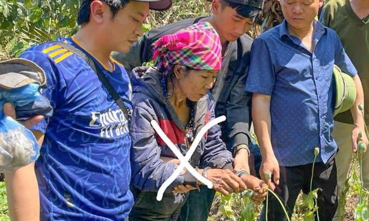 Người phụ nữ trồng 3.200 cây thuốc phiện giữa rừng sâu