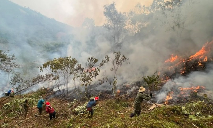 Cháy rừng ở Sơn La, huy động gần 300 người dập lửa
