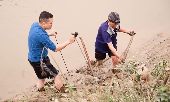 Lội bùn săn 'thủy quái' ở cửa sông 
