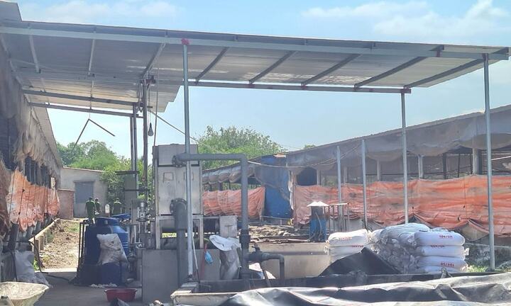 3 người tử vong trong trang trại chăn nuôi nghi ngạt khí